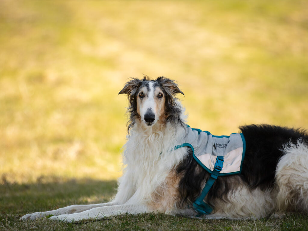 Cooling vest – Bild 6