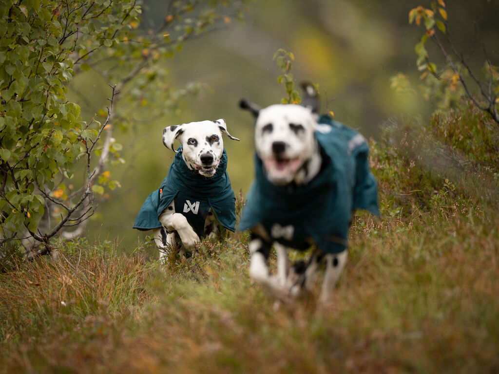 Fjord lined raincoat – Bild 7