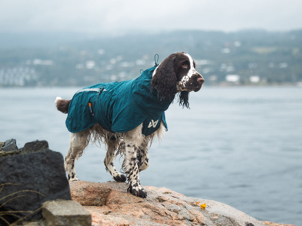 Fjord lined raincoat – Bild 5
