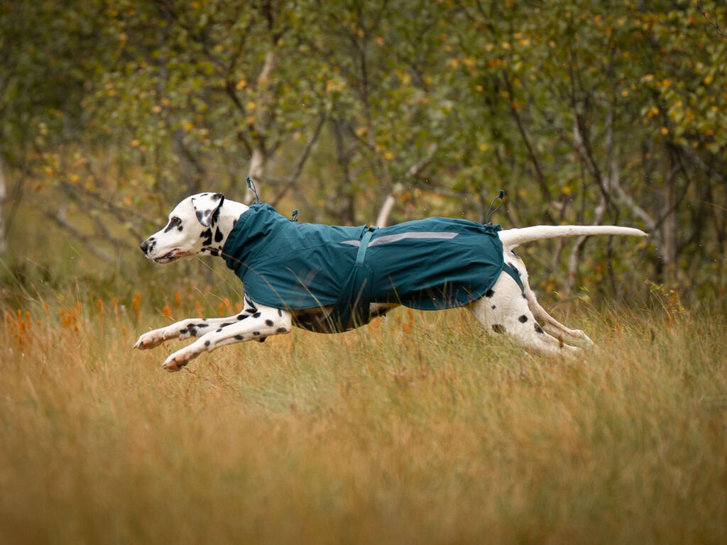 Fjord lined raincoat – Bild 4