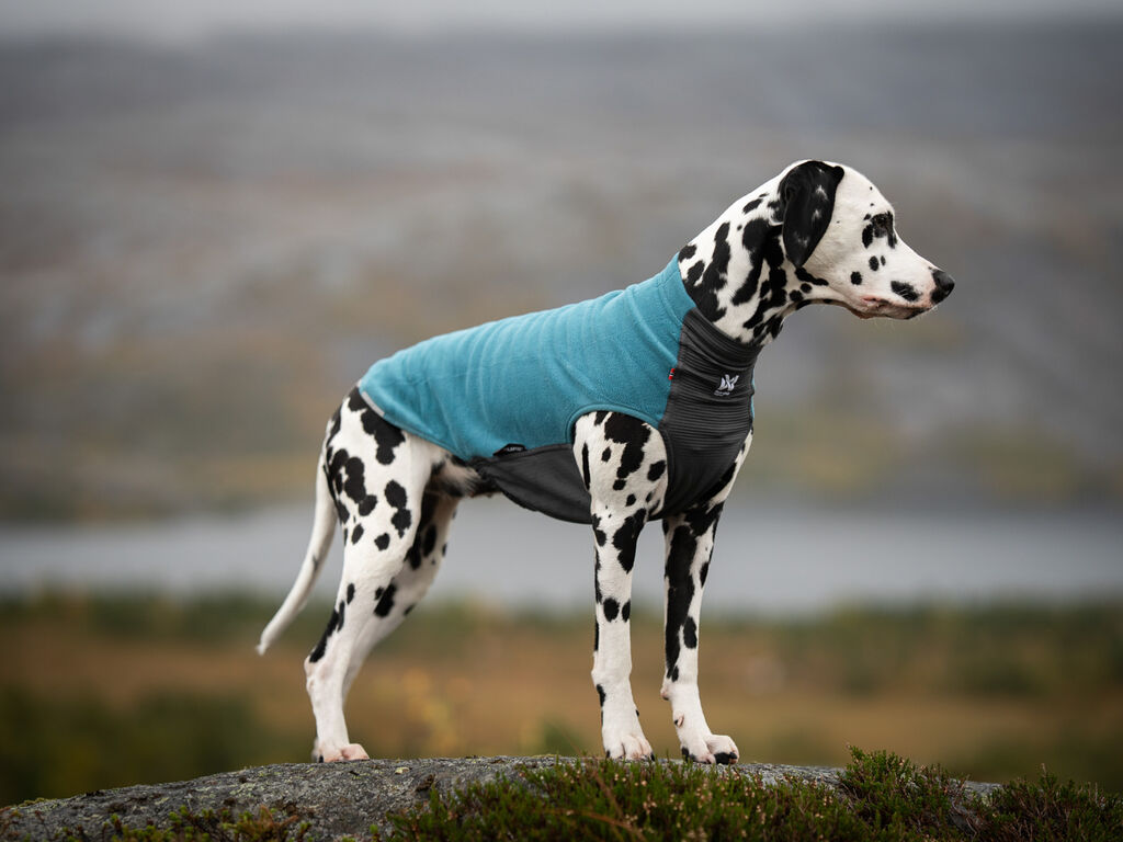 Trail quest fleece pullover – Bild 4
