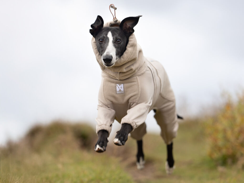 Trail quest fleece overall - Ganzkörper Hundefleece Mantel – Bild 7