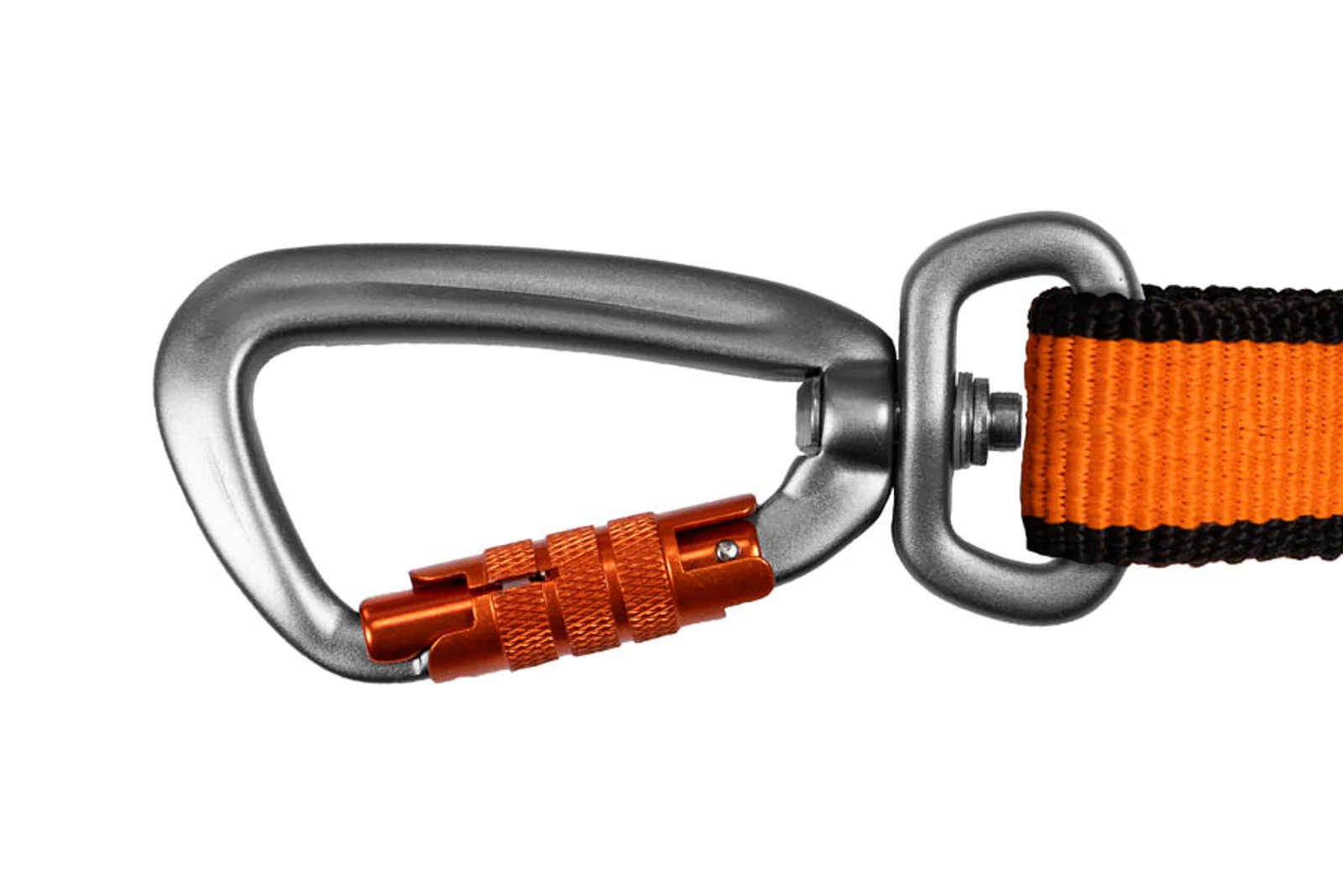Bungee leash – Bild 7