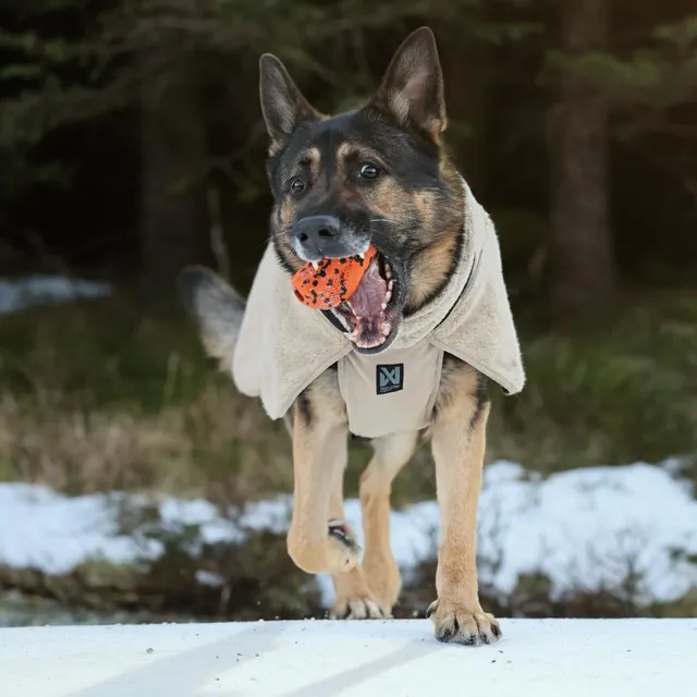 Wool dog jacket – Bild 6