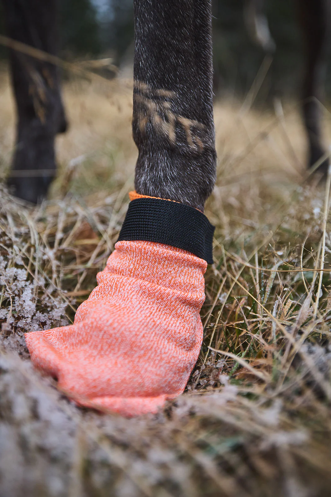 Protector light socks – Bild 6