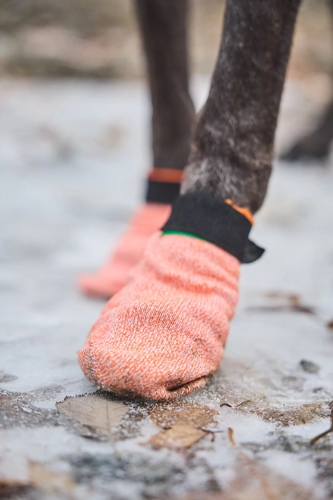 Protector light socks – Bild 7