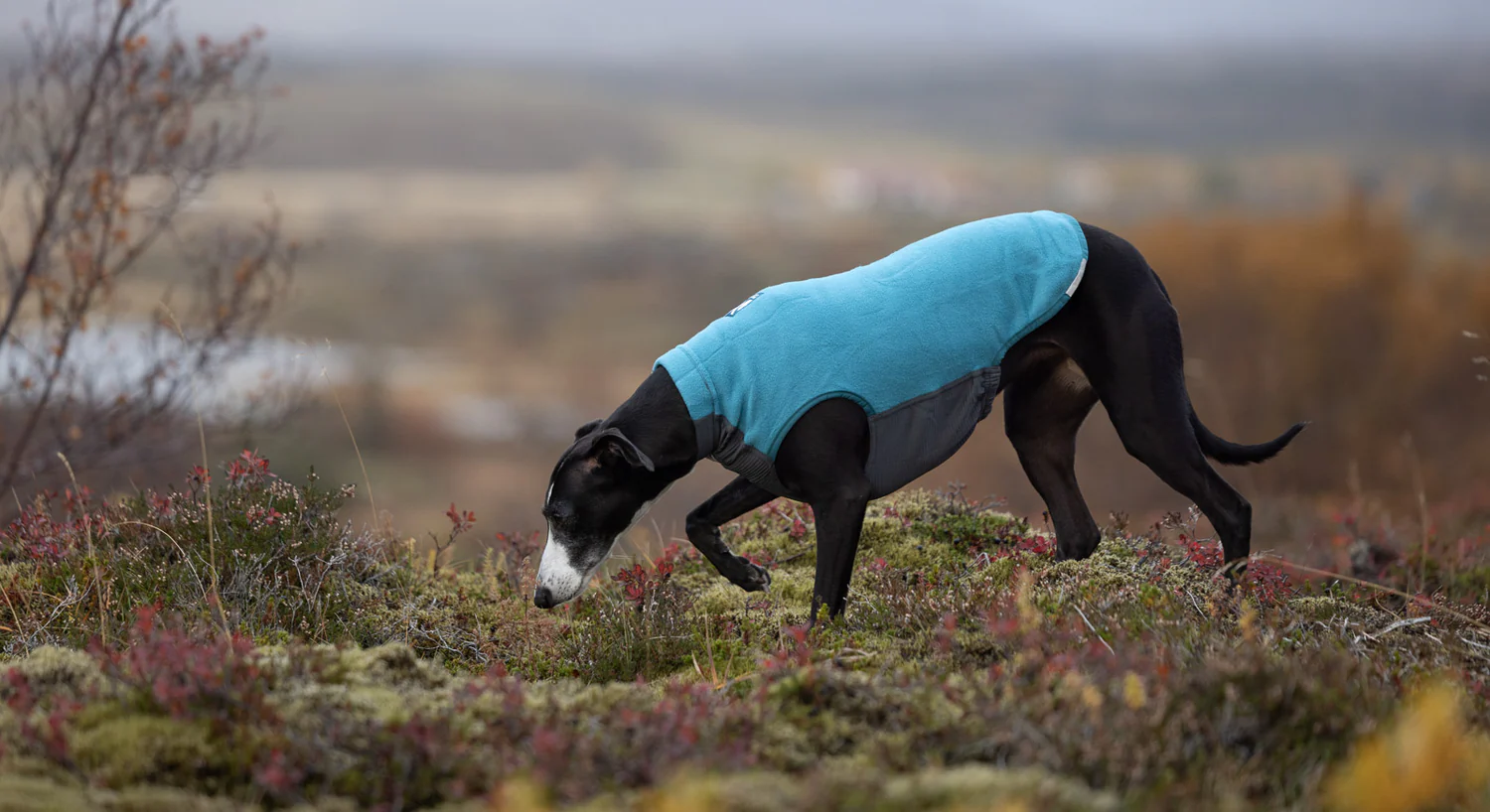 Trail quest fleece pullover – Bild 5